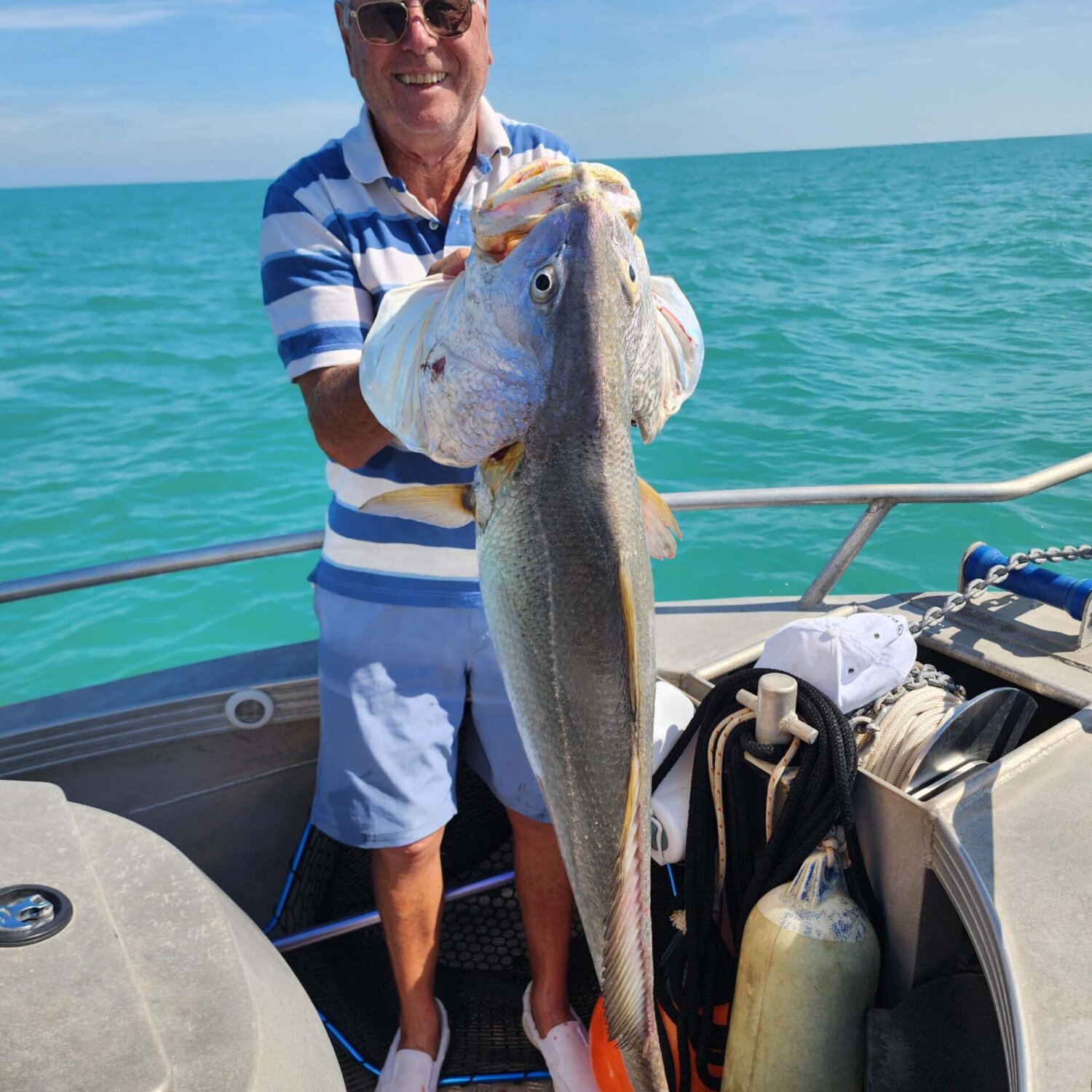 BluewaterDarwinGiantJewfish BluewaterDarwinGiantJewfish