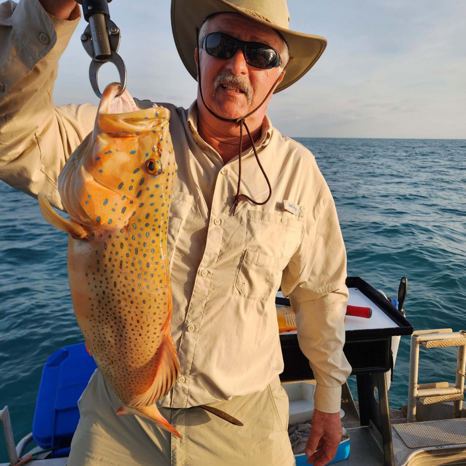 BluewaterDarwinTrout BluewaterDarwinTrout