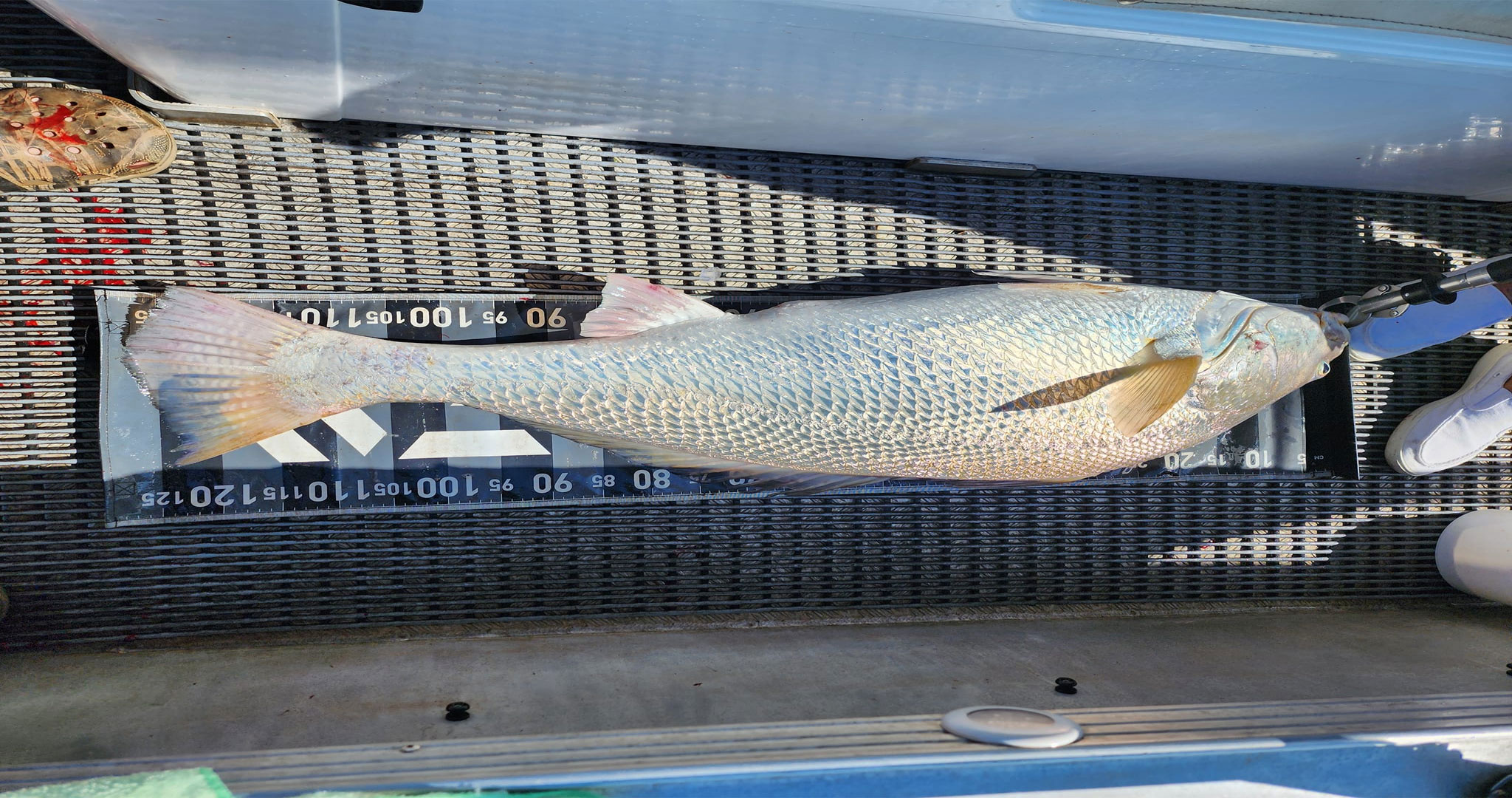 Barra Fishing Charter Northern Territory